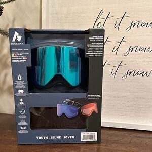 Blue Sky Youth Magnetic Lens Ski Goggles